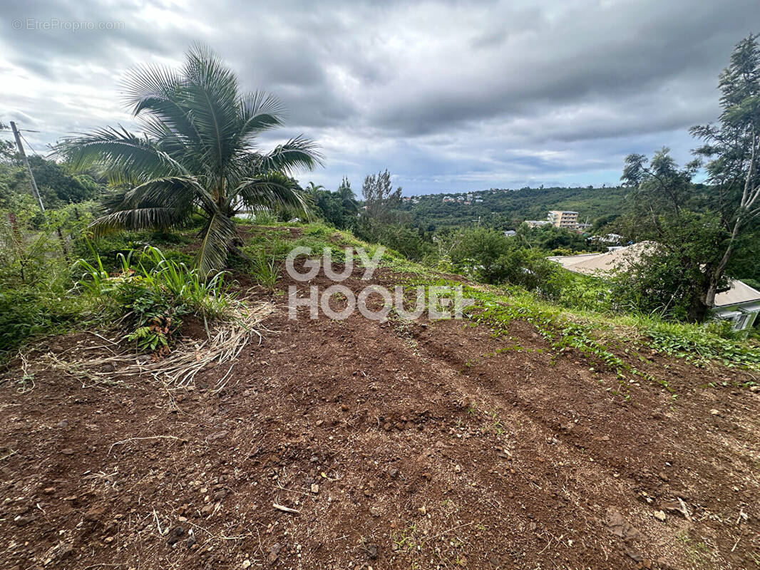 Terrain à SAINT-DENIS