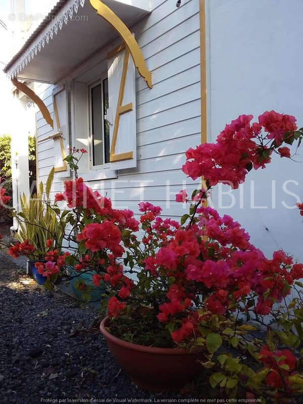 Maison à SAINT-JOSEPH