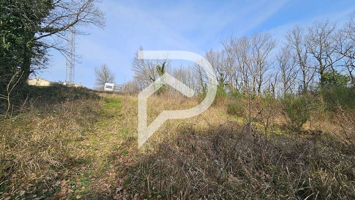 Terrain à BOISSEZON