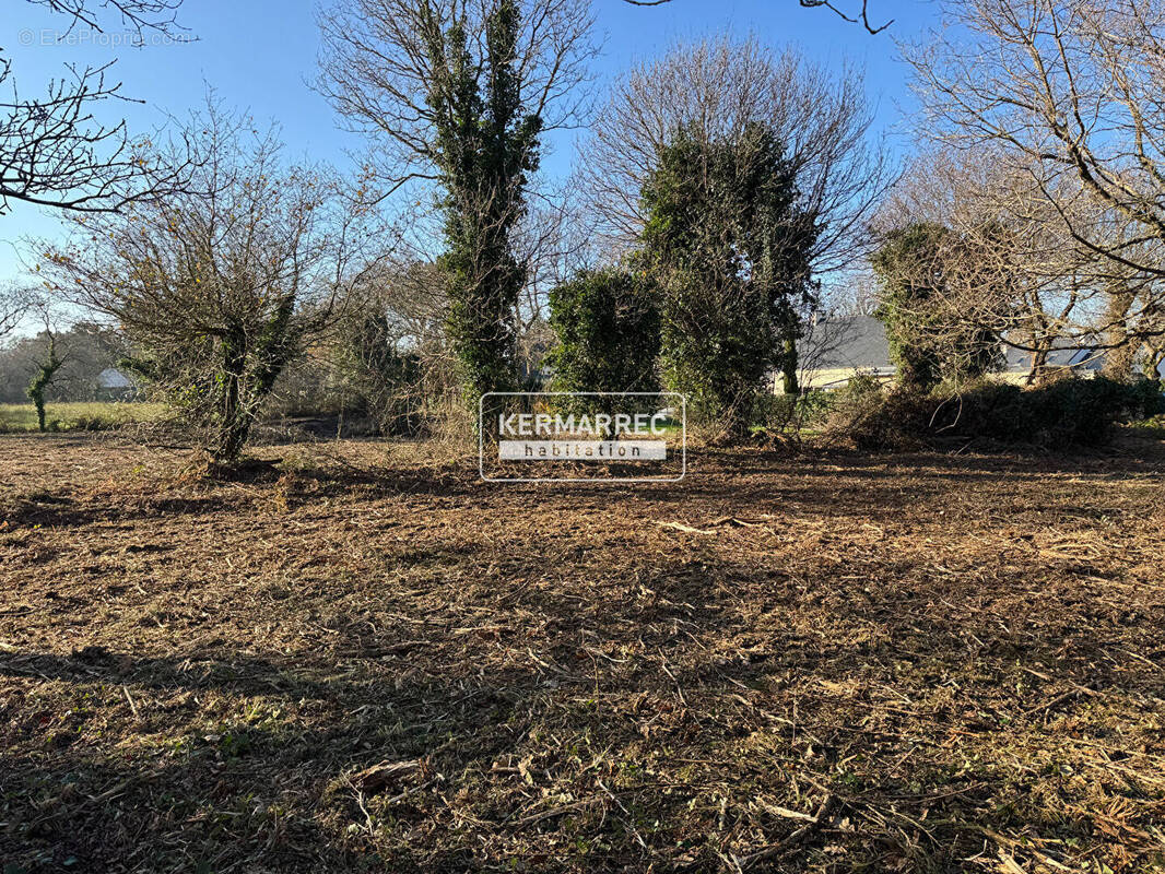 Terrain à LA TURBALLE