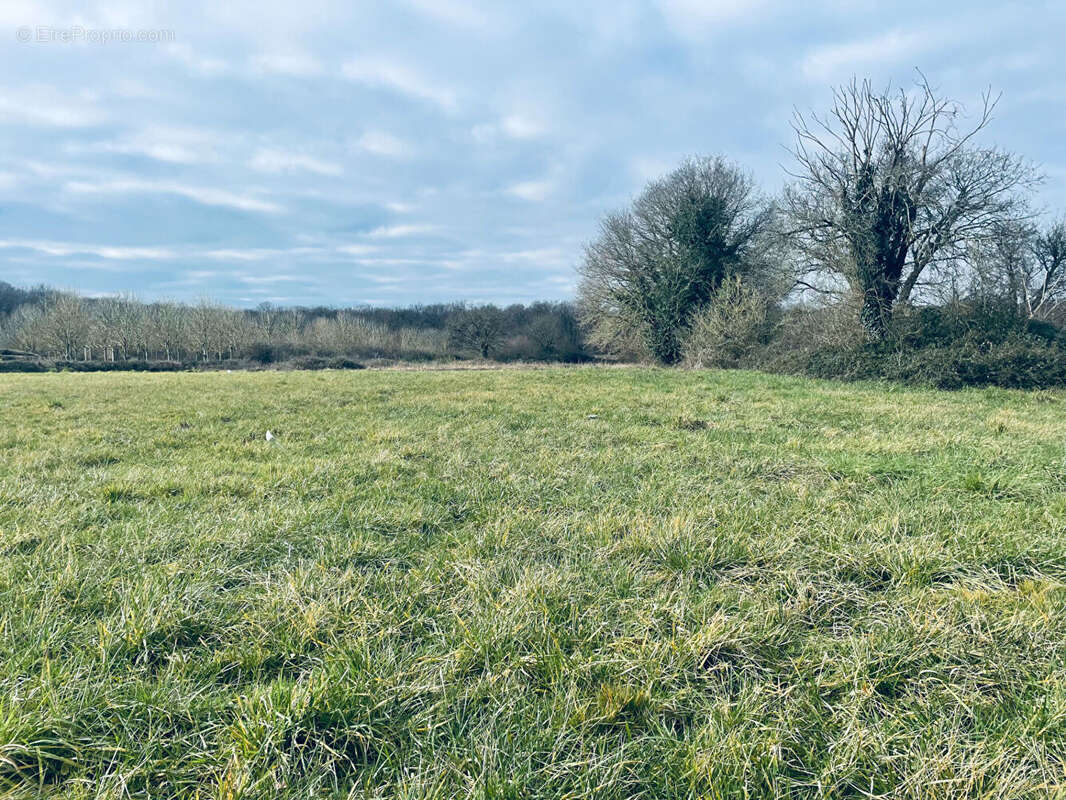 Terrain à LES FORGES