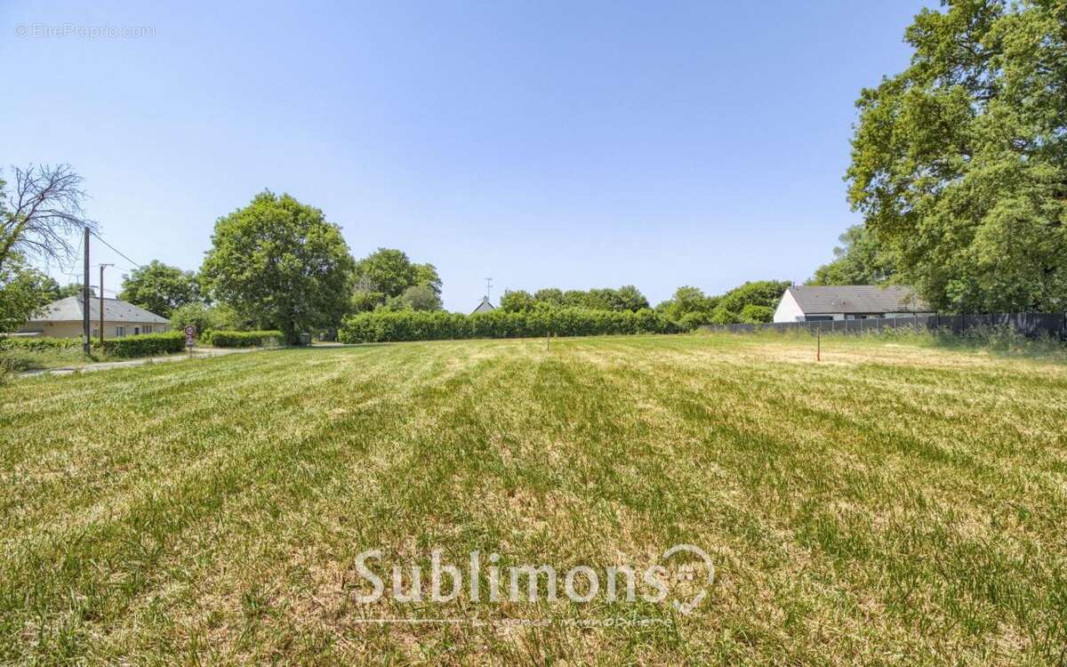 Terrain à SAINT-GILDAS-DES-BOIS