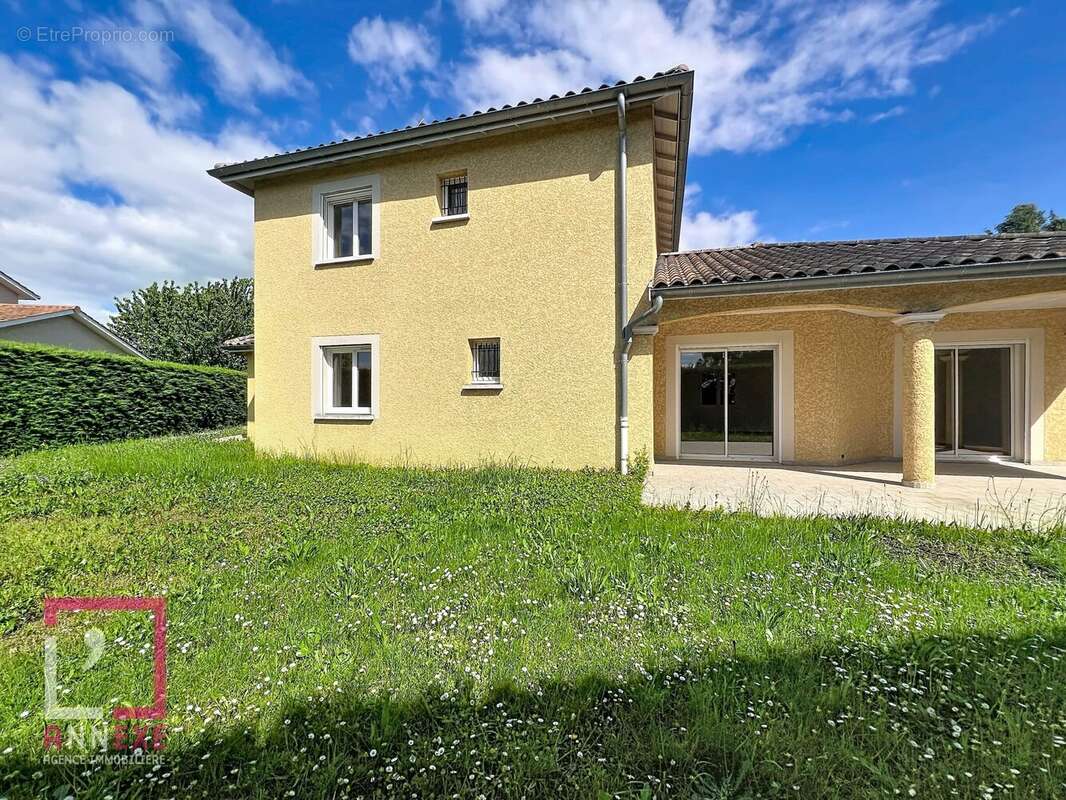 Maison à MASSIEUX