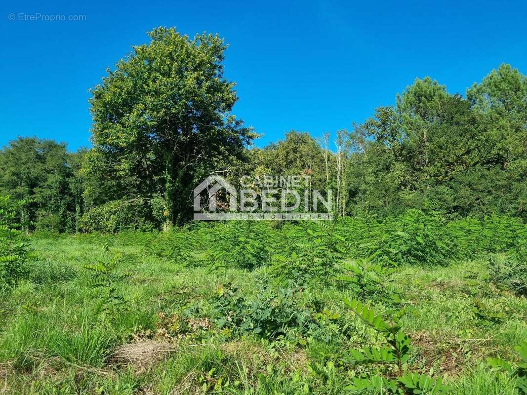 Terrain à SAINT-AUBIN-DE-MEDOC