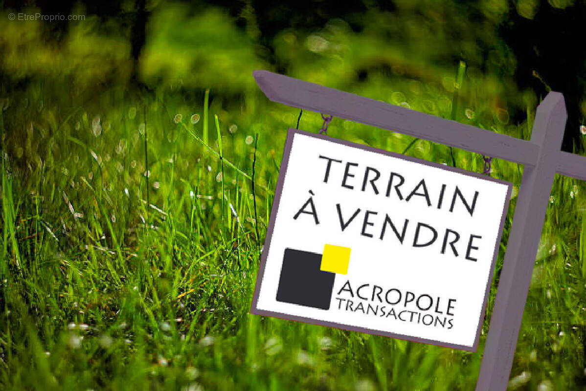 Terrain à SAINT-MARTIN-EN-HAUT