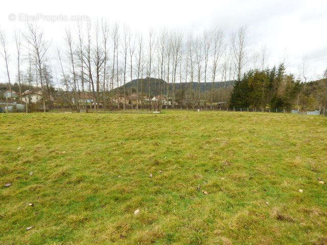 Terrain à MOYENMOUTIER