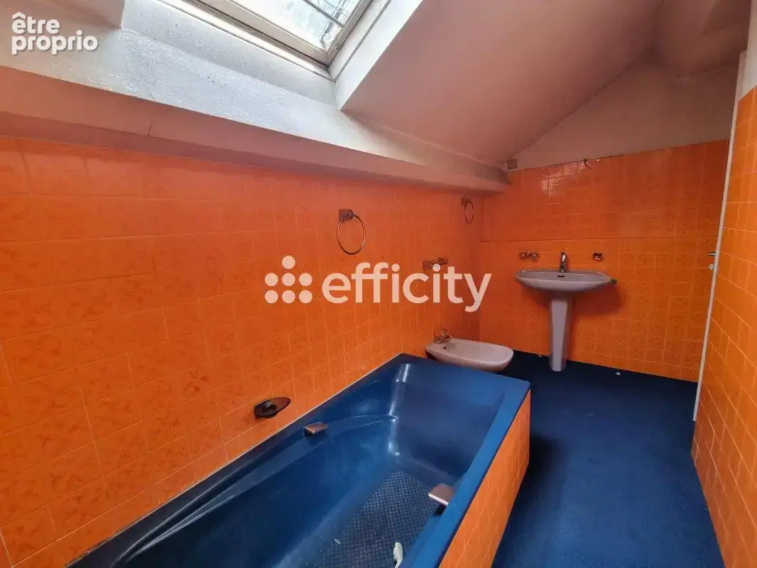 Maison 272 m² à Le Malzieu-Ville  - photo 23