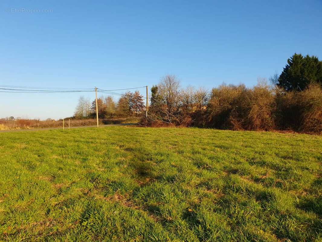 Terrain à SAINT-SEVER