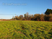 Terrain à SAINT-SEVER