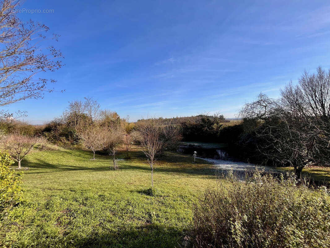 Maison à MONTREUIL-BELLAY