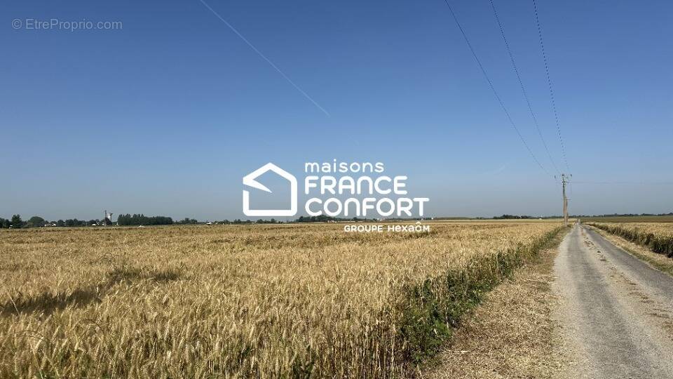 Terrain à BRETTEVILLE-L'ORGUEILLEUSE