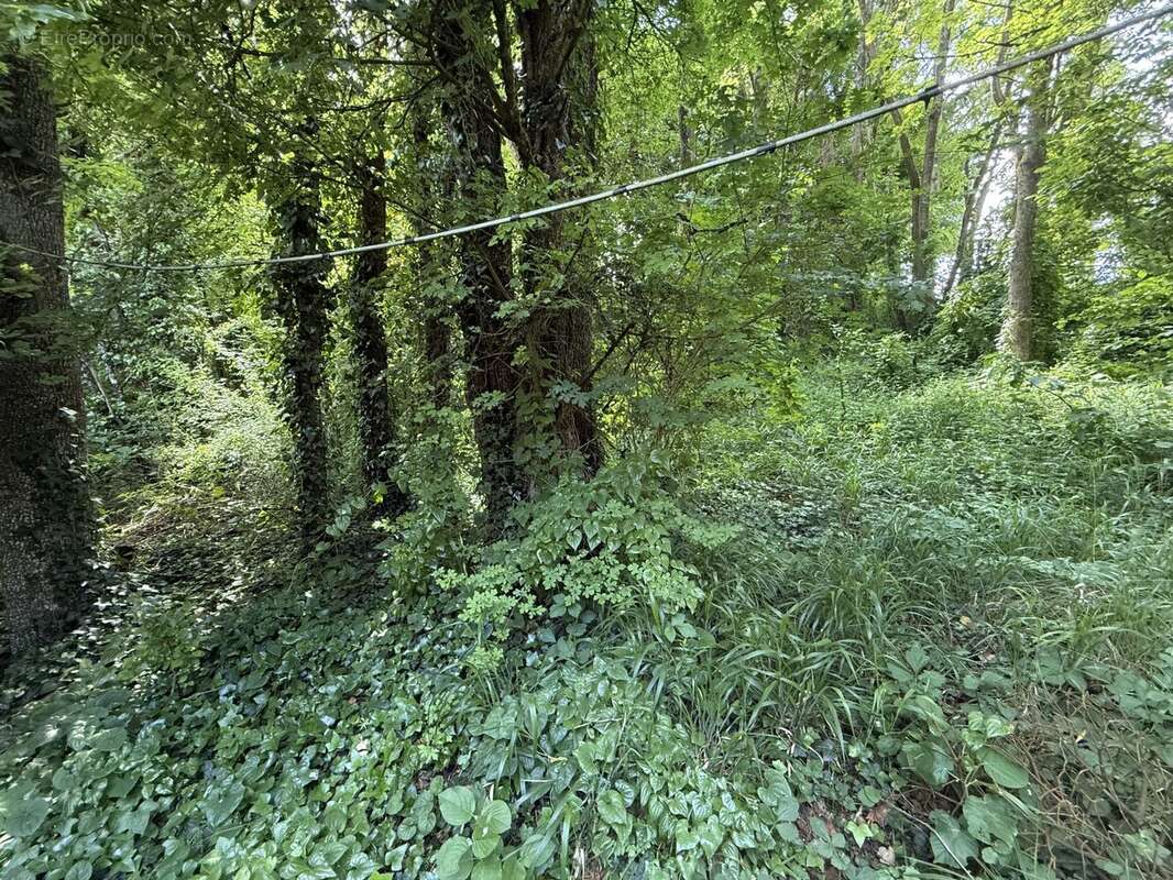 Terrain à VILLAINES-LES-ROCHERS