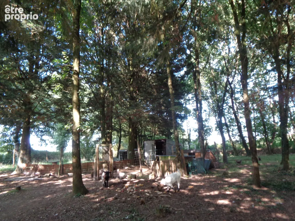 Maison Cruguel 6 pièce(s) 110 m2 - photo 15