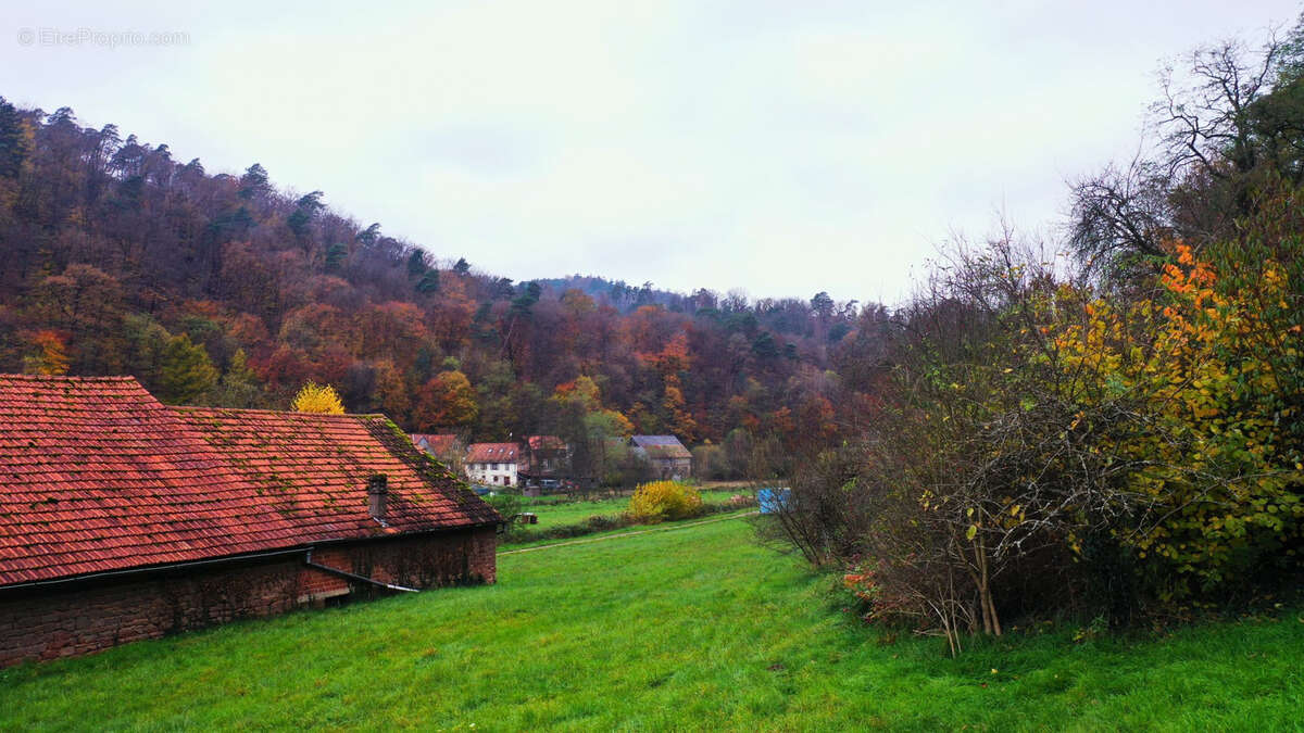 Terrain à ROTHBACH