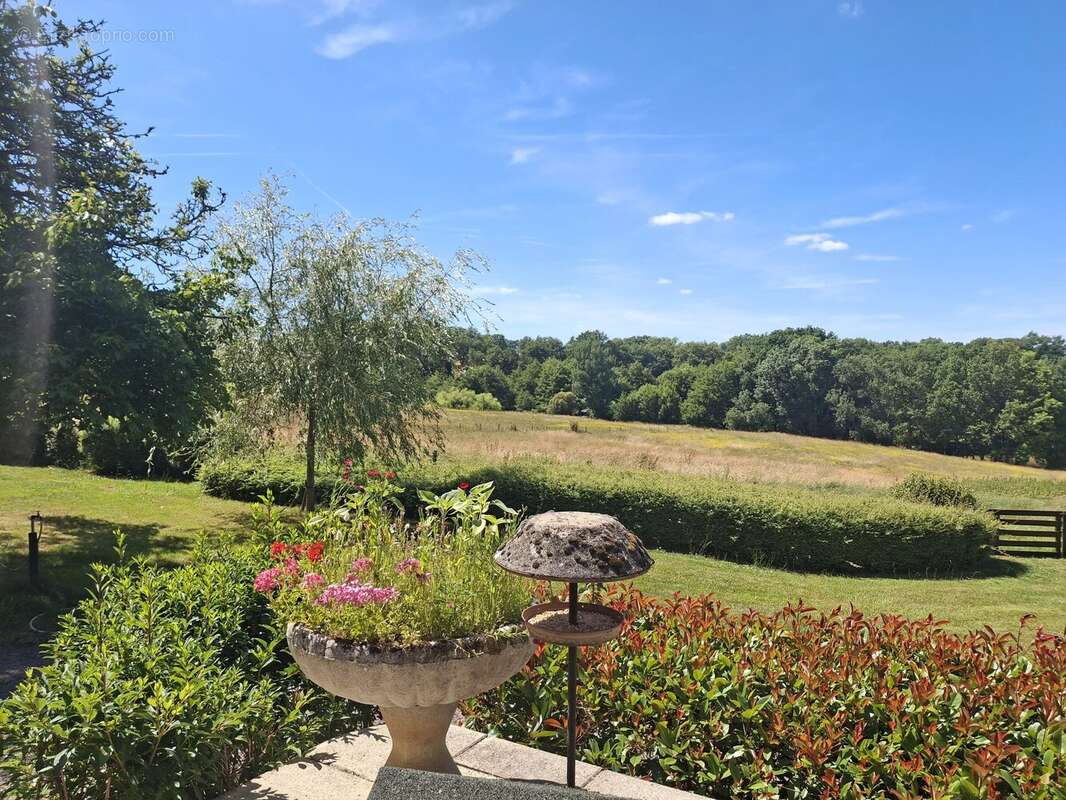 2 maisons de campagne, de nombreuses dépendances et 28 hectares dans un cadre magnifique - photo 15