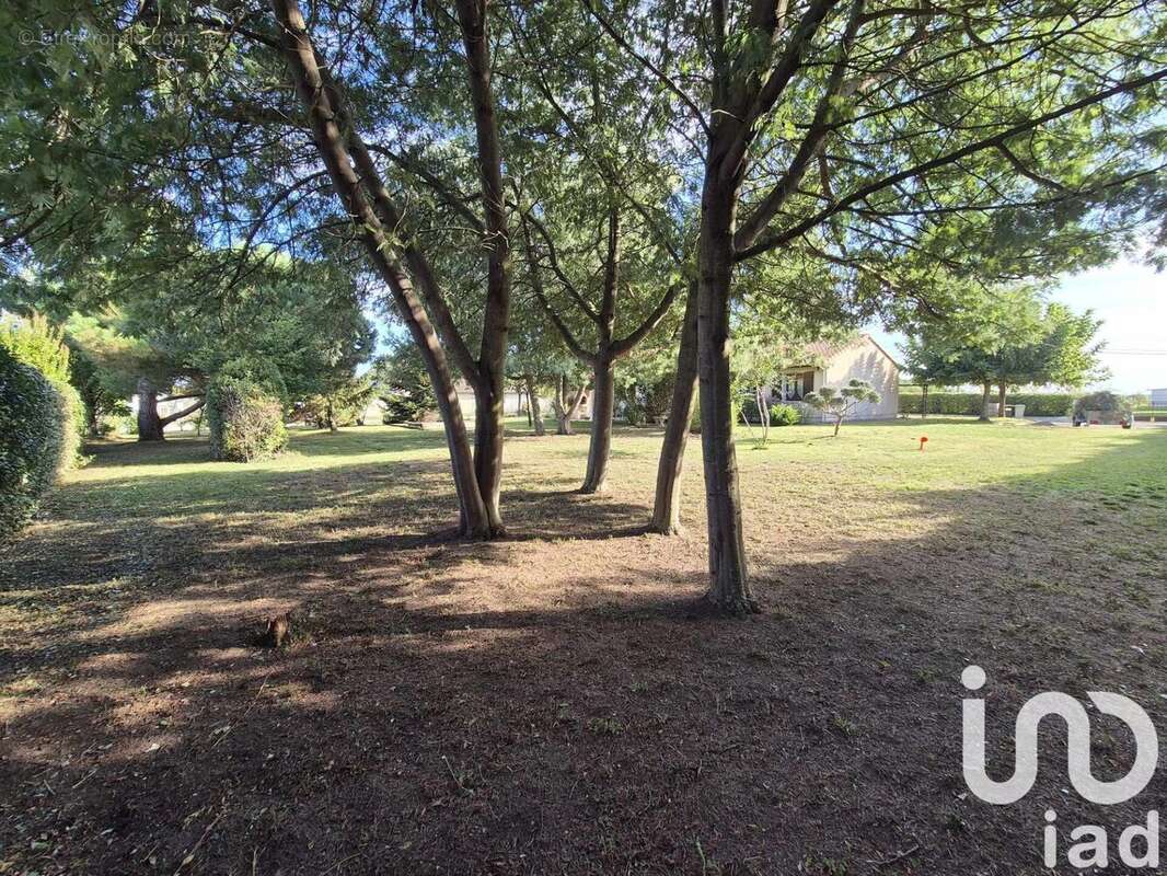 Photo 4 - Terrain à MONTBETON