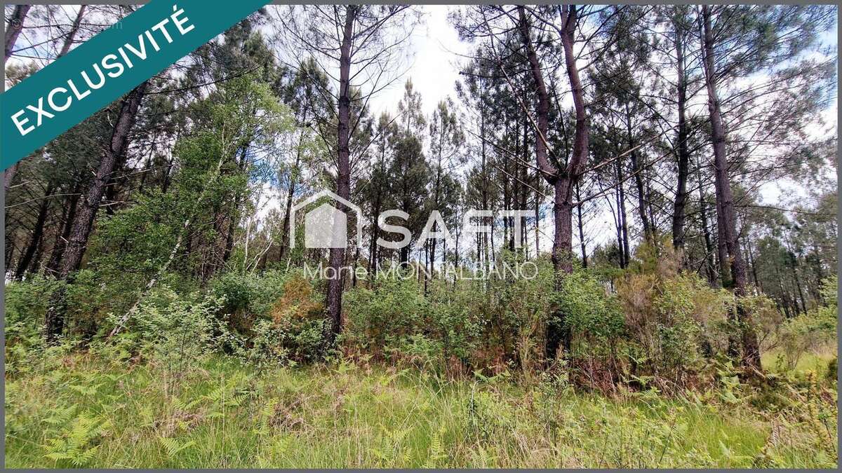 Photo 5 - Terrain à MIOS