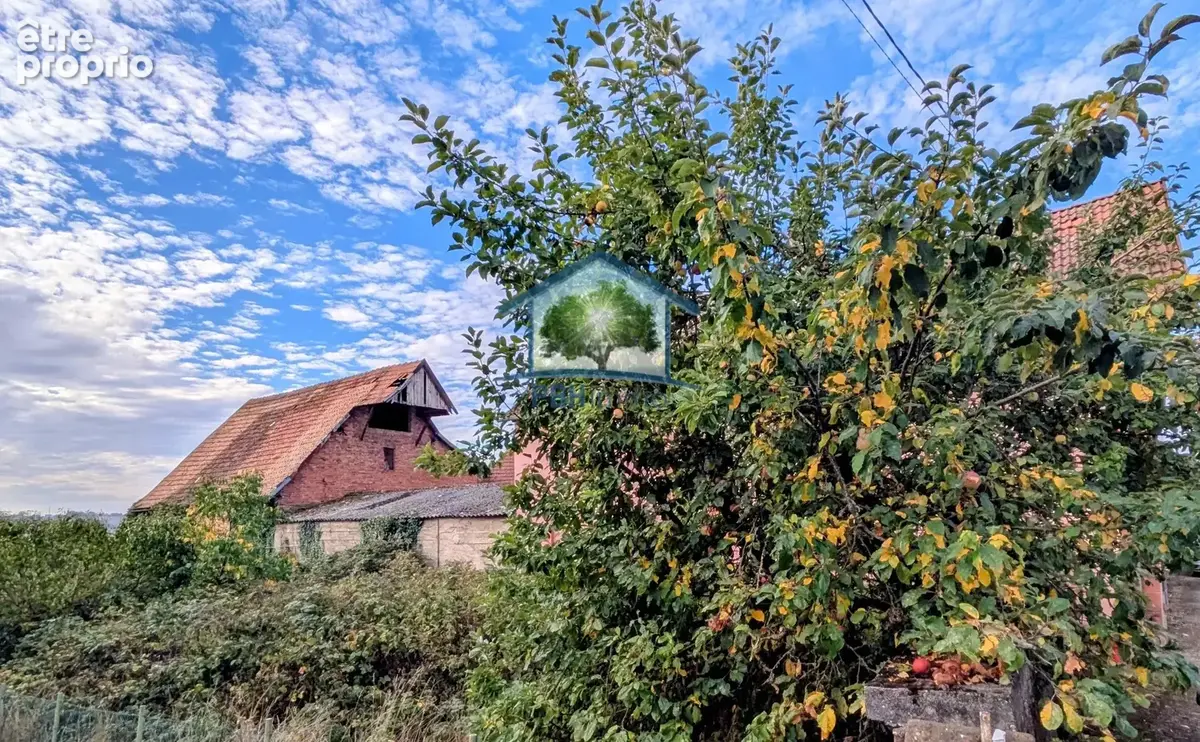 ZUTZENDORF (67) - Maison à rénover 156m² avec Dépendances et Jardin sur 24.37 ares - photo 4