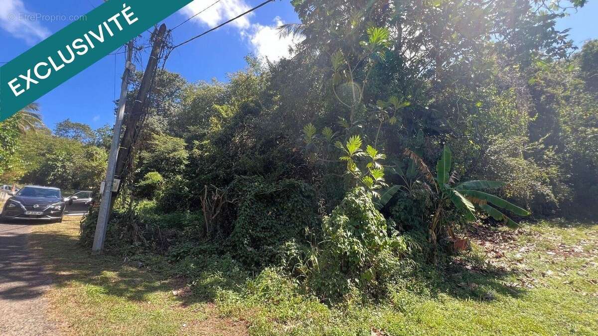 Photo 4 - Terrain à LE GOSIER