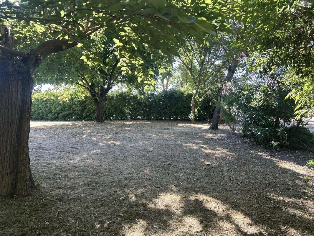 Terrain à MAS-SAINTES-PUELLES