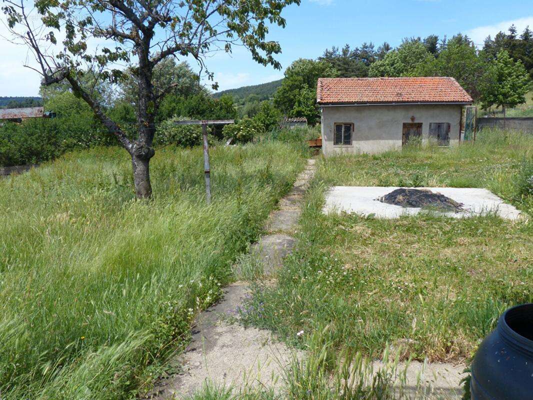 Maison de caractère à rénover -  Fort potentiel - Laussonne - photo 3