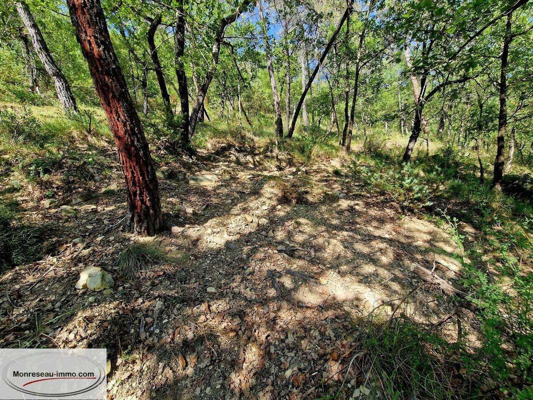 Terrain à TOUDON