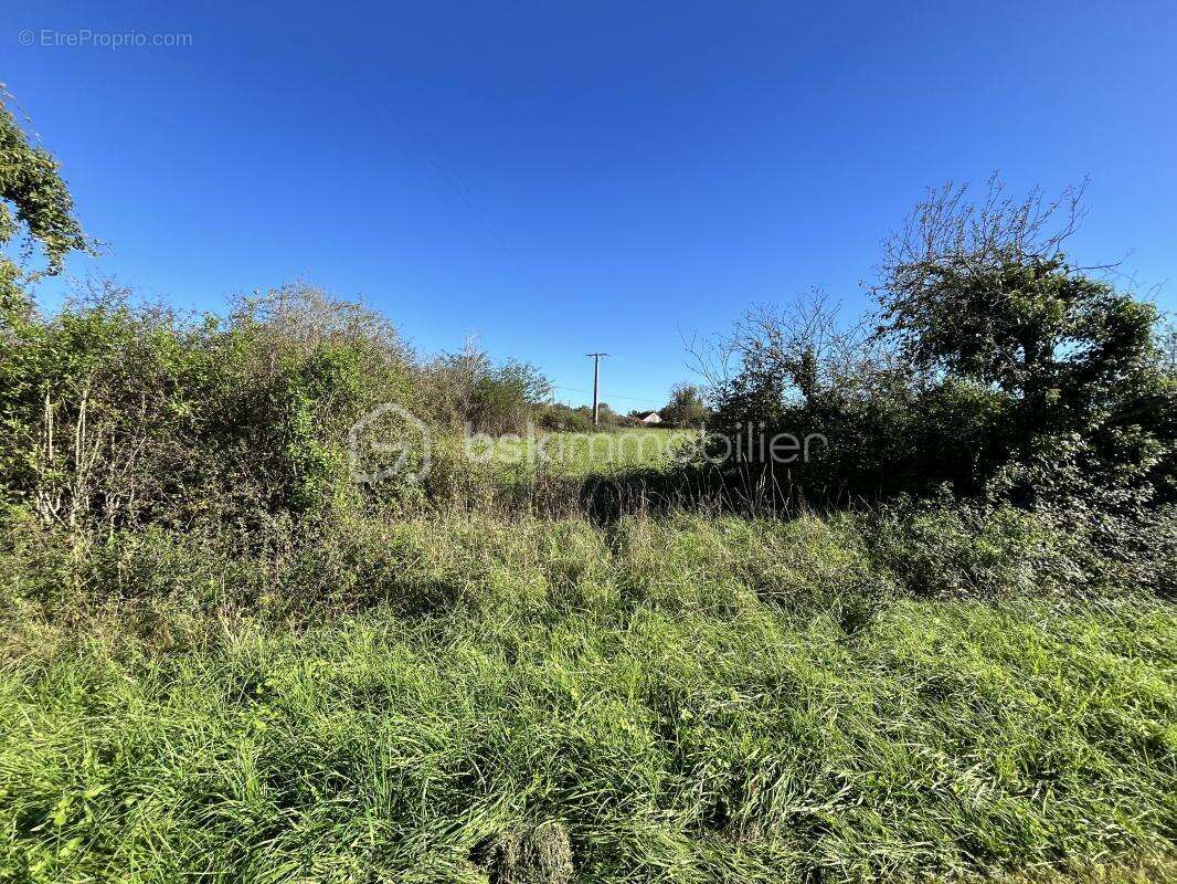 Terrain à JUSSY-LE-CHAUDRIER
