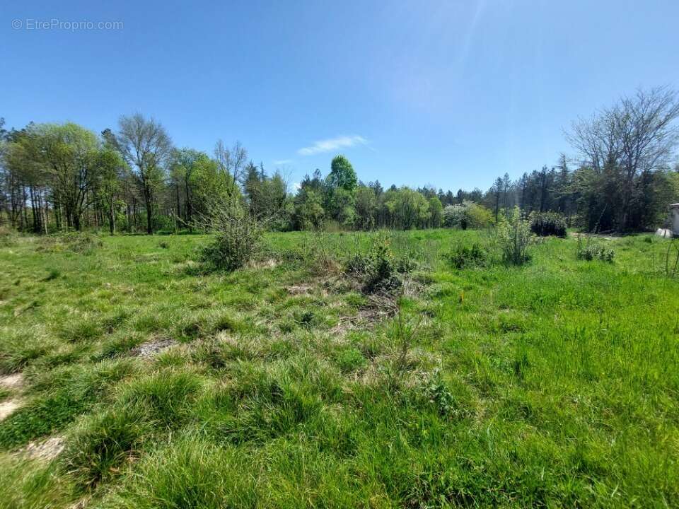 Terrain à VACQUIERS