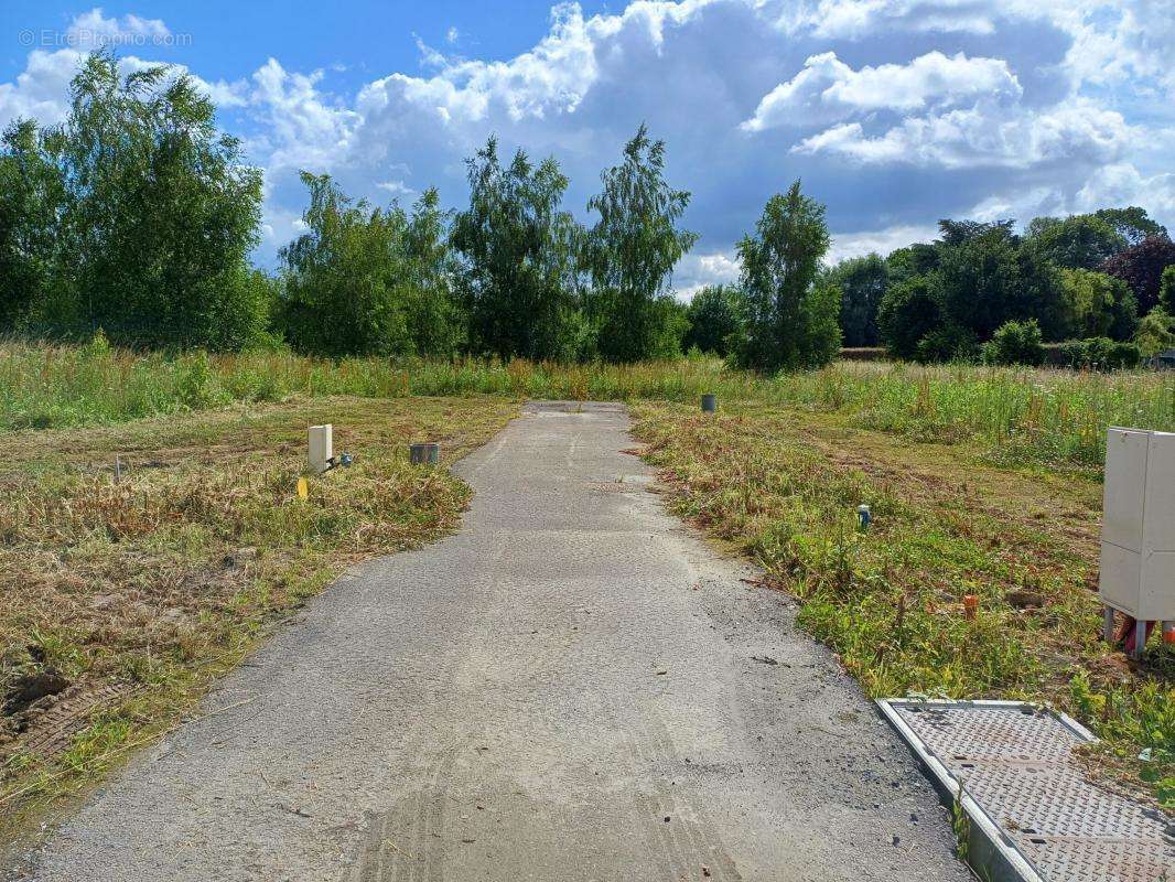 Terrain à AUBERCHICOURT