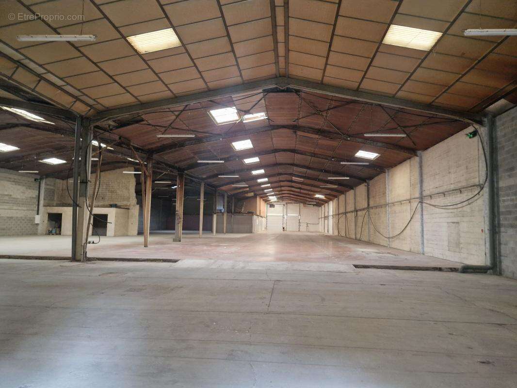 Commerce à TERRASSON-LAVILLEDIEU