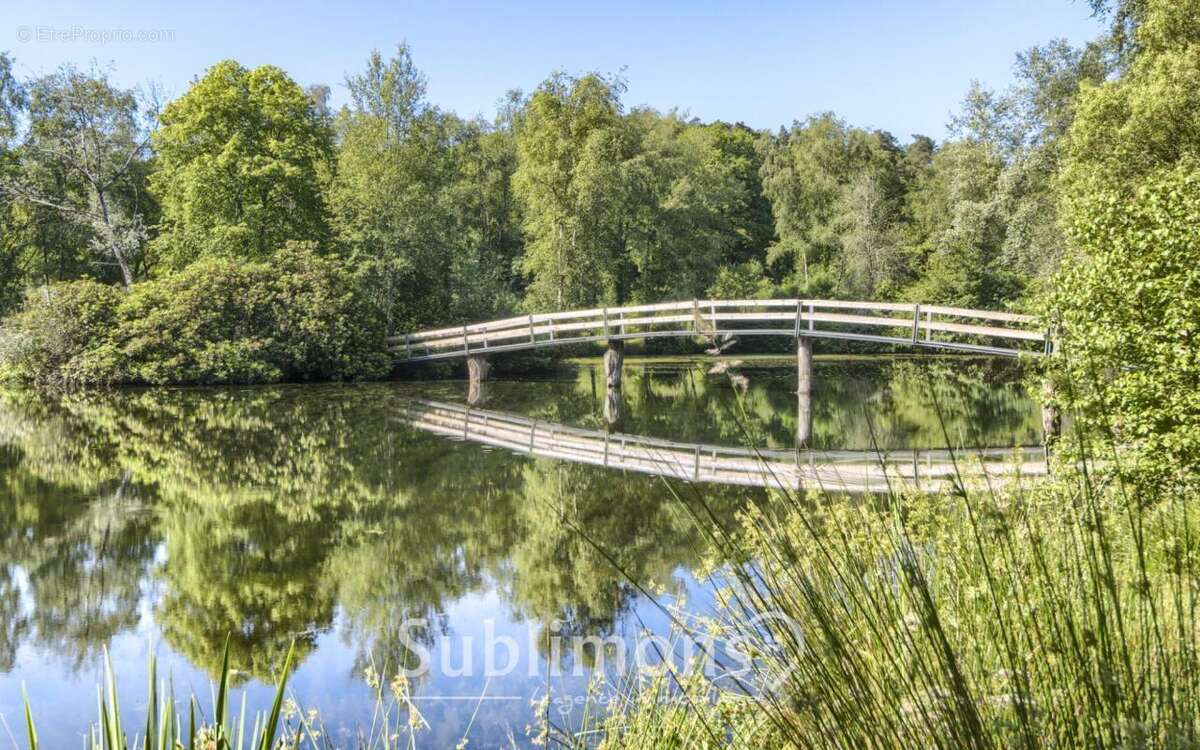 Propriété arborée à 40min de Vannes - photo 3
