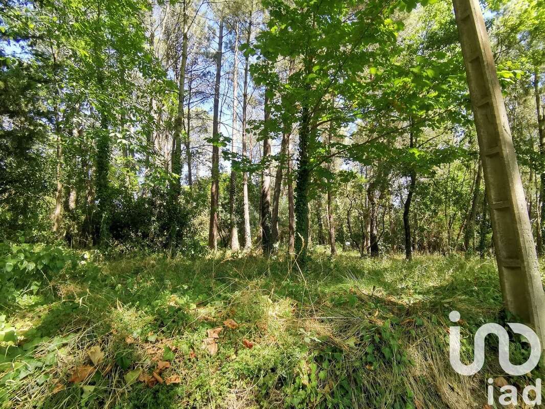 Photo 8 - Terrain à CENNE-MONESTIES