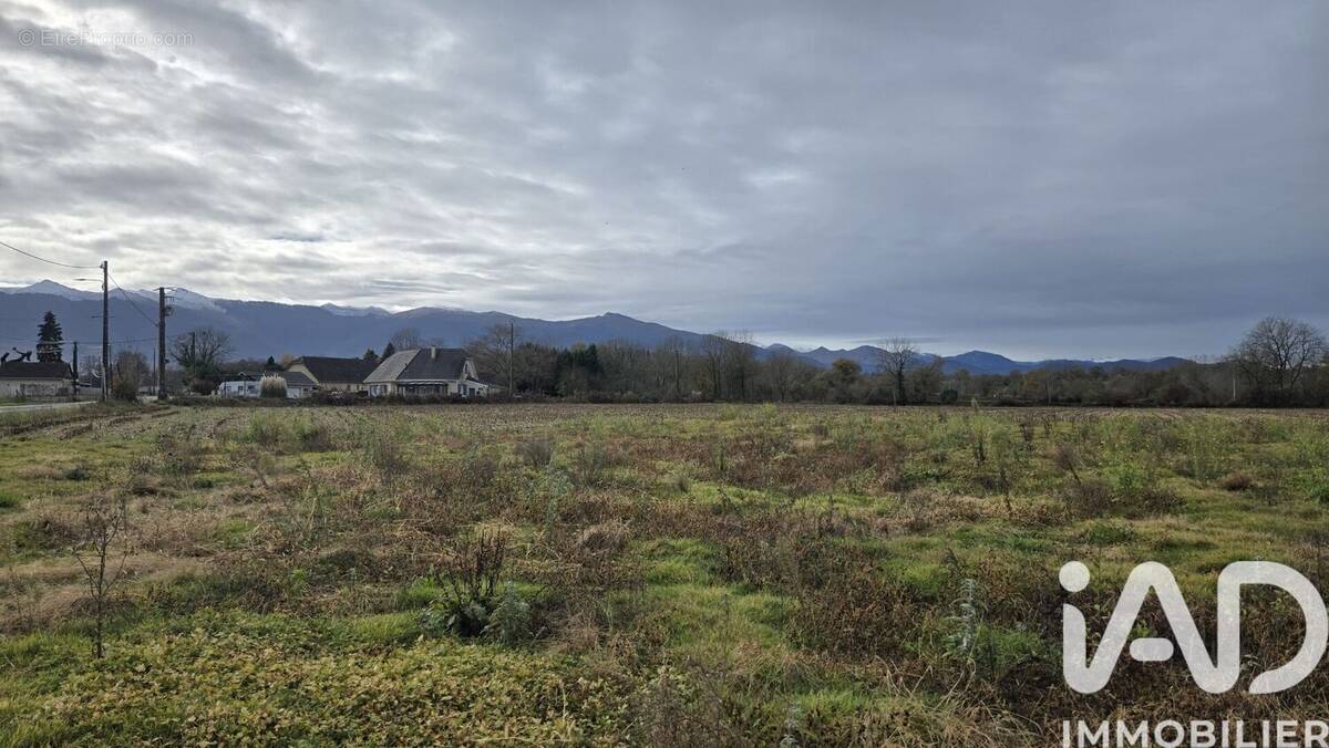 Photo 1 - Terrain à ESCOU