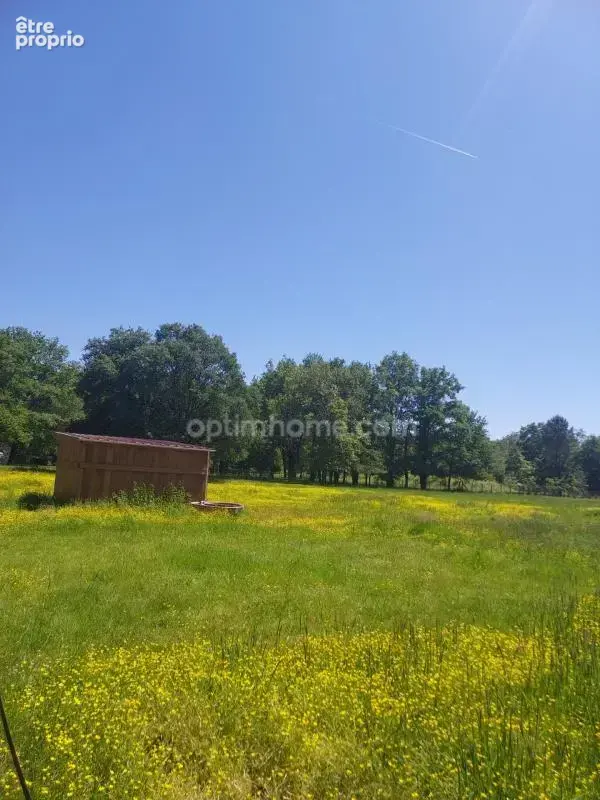 Terrain à vendre de 8 500,00 m² VILLEFRANCHE SUR CHER 41 dans un environnement très calme et verdoyant - photo 2