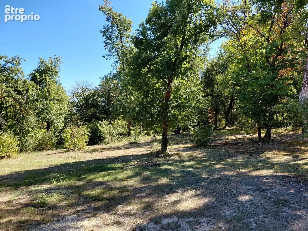 Belle propriété de 170 m2 sur CHANCELADE à l'orée du bois avec 8000m2 de terrain - photo 14