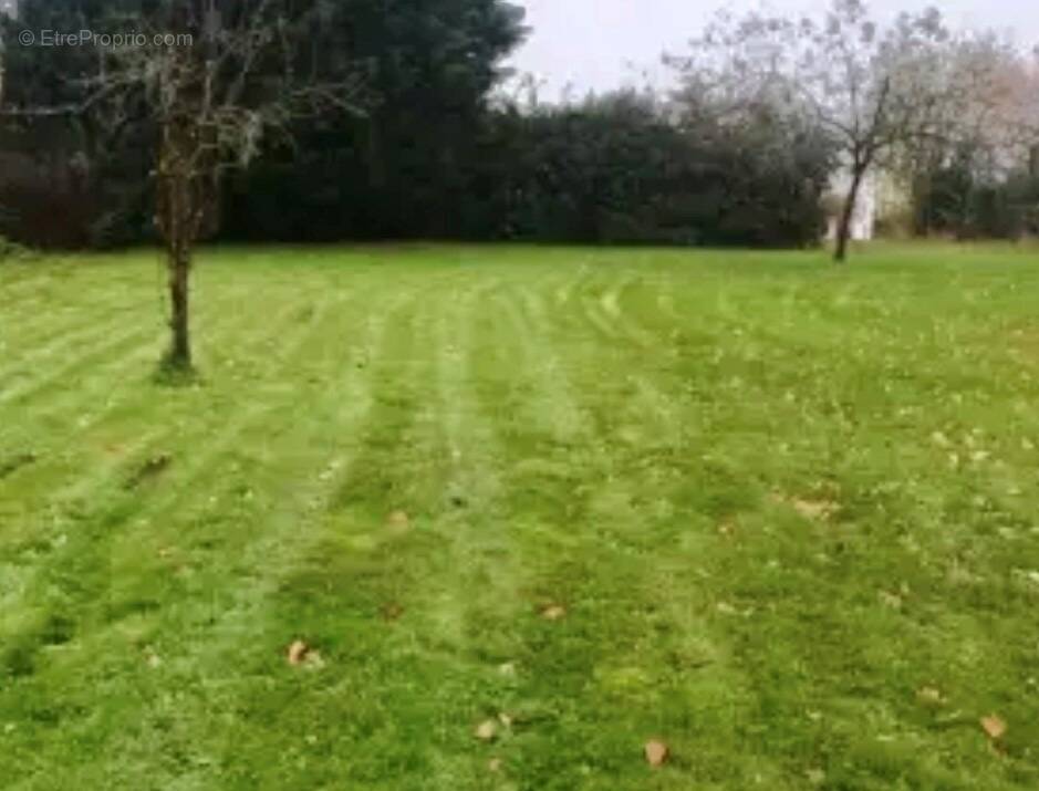 Terrain à FECHAIN