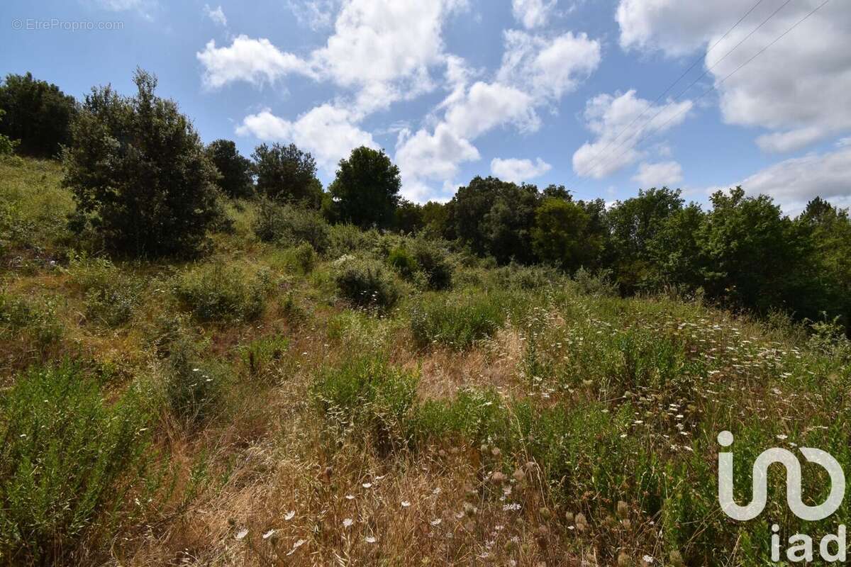 Photo 3 - Terrain à QUINTILLAN