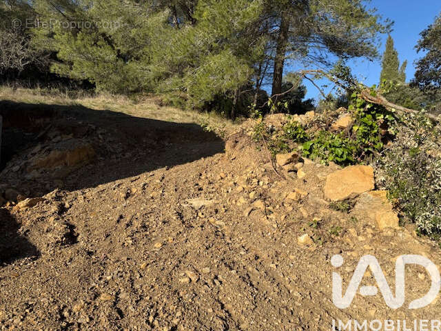 Photo 8 - Terrain à MURVIEL-LES-MONTPELLIER