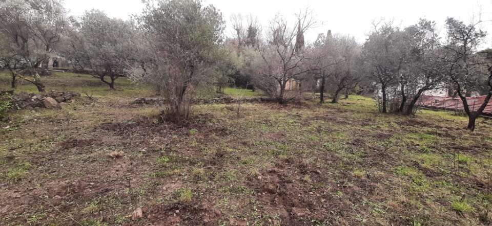 Terrain à DRAGUIGNAN