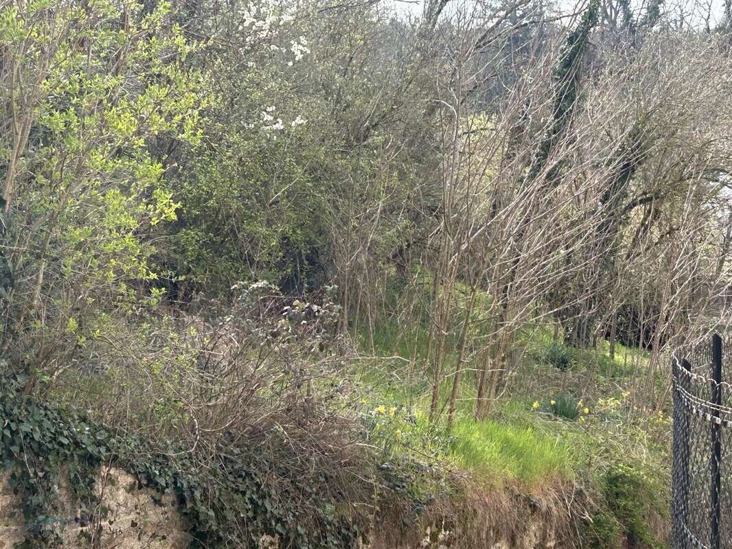 Vente Maison Jumeaux(63570) 55 000ï¿œ - photo 10