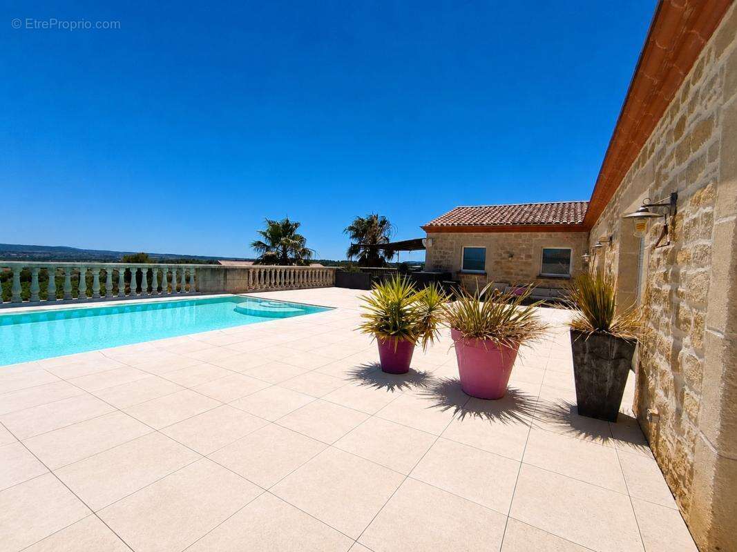 Propriété viticole - photo 6