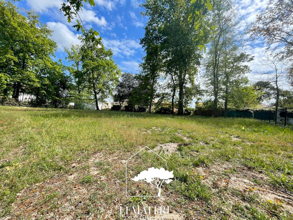 Terrain à LES MATHES