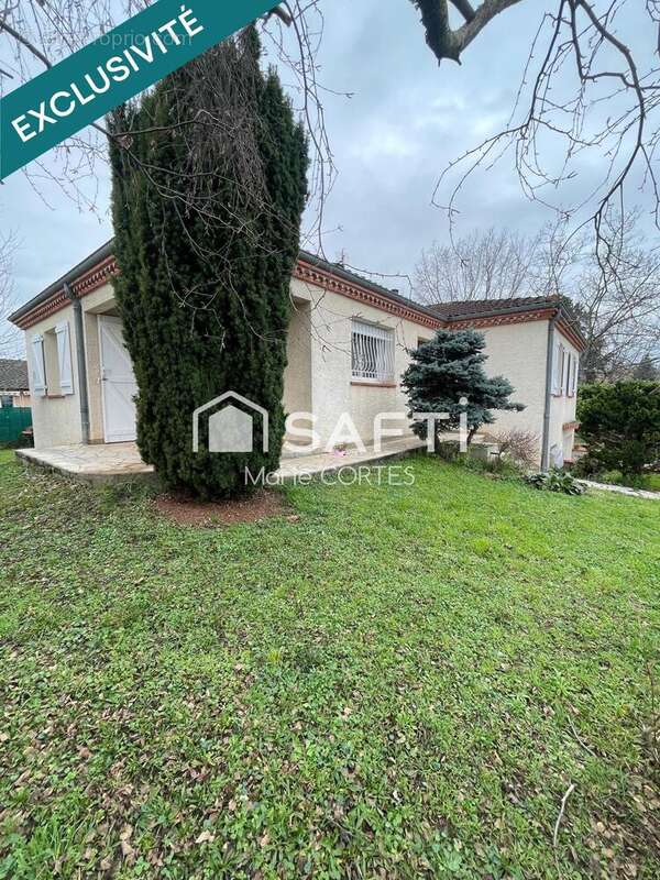 Photo 8 - Maison à ALBI