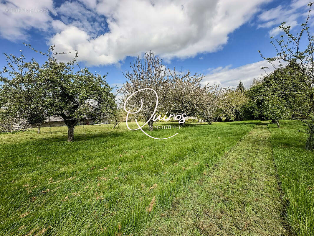 Maison 234 m² à Fontenay-Le-Pesnel  - photo 7