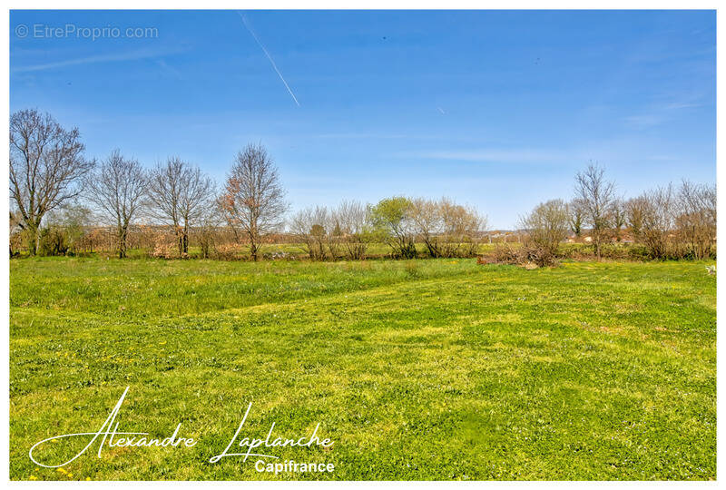 Terrain à MONTAUBAN
