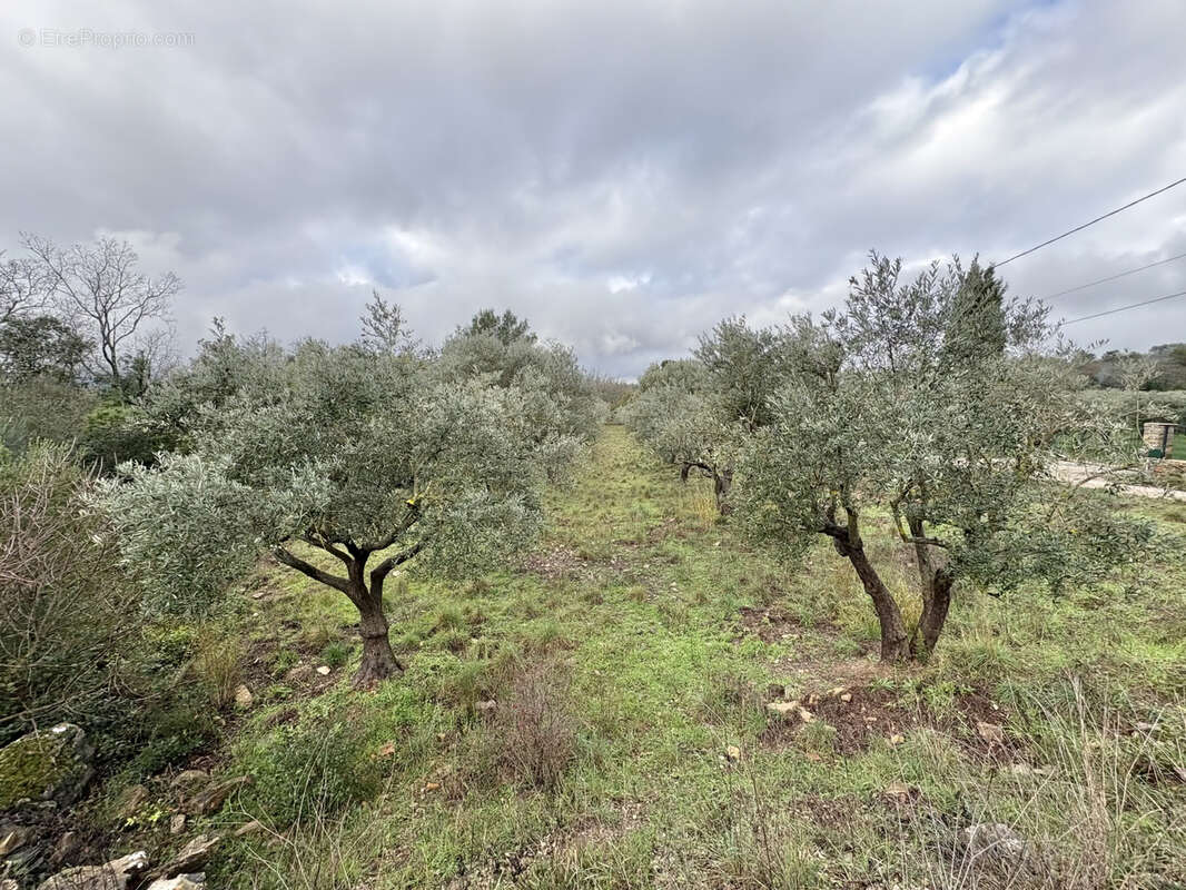 Terrain à MEOUNES-LES-MONTRIEUX