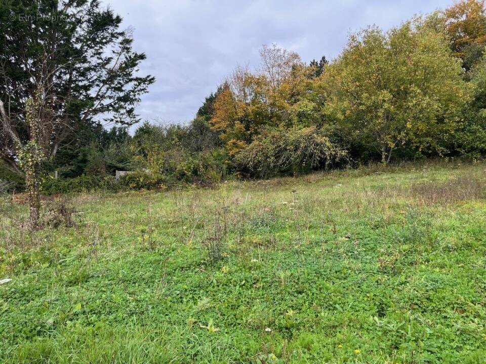 Terrain à CAOURS