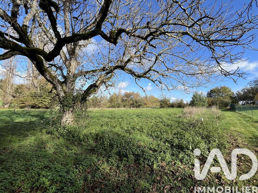 Photo 3 - Terrain à EAUZE
