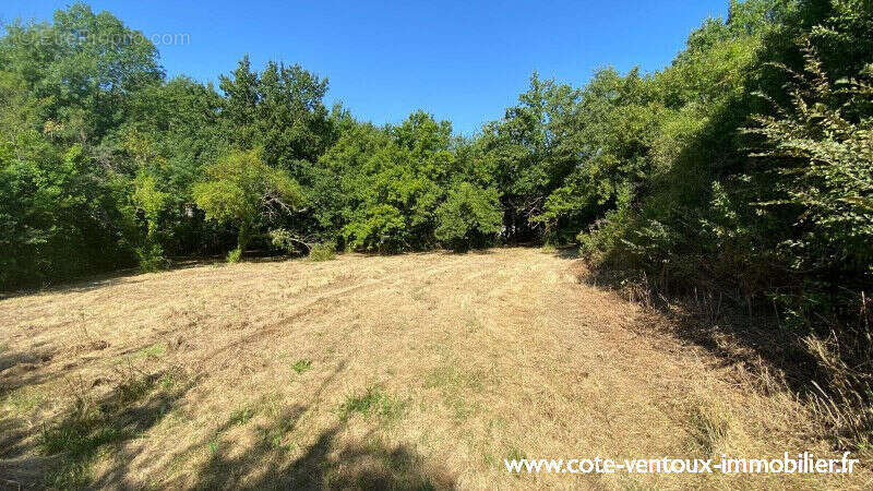 Terrain constructible viabilisé - 800 m² - photo 5