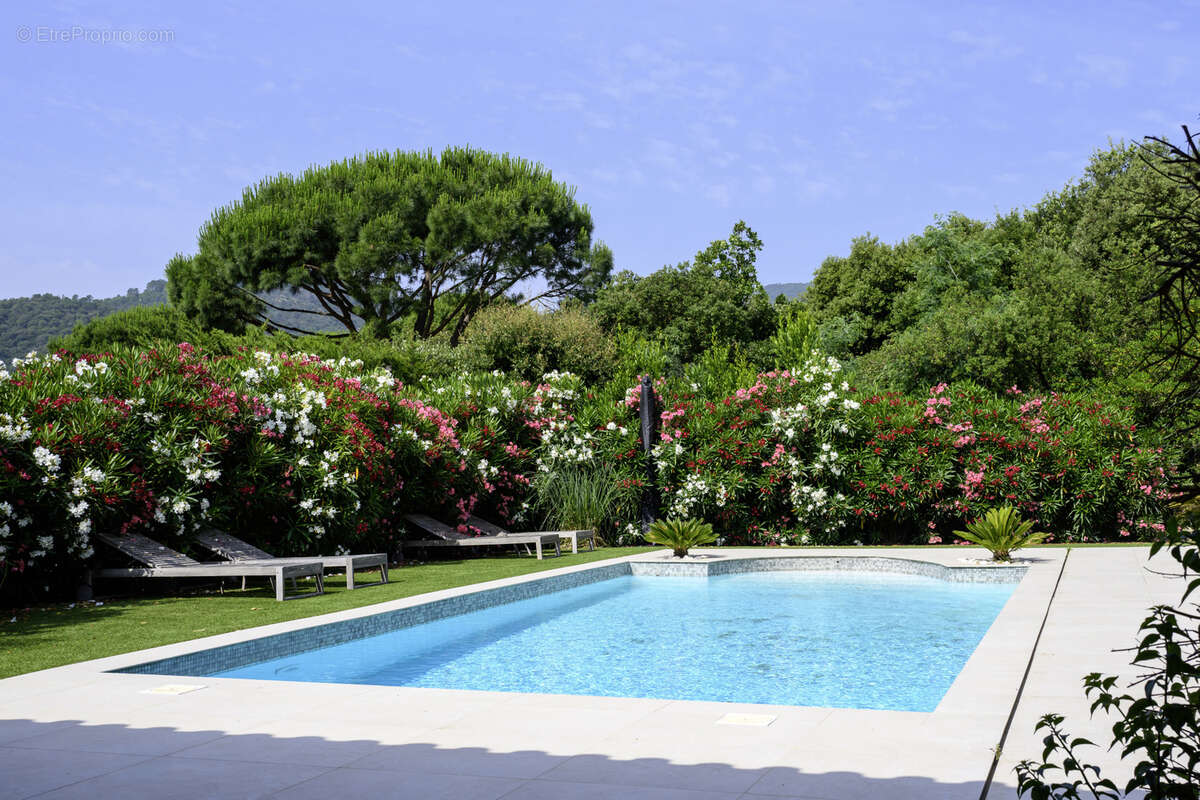 Maison à PLAN-DE-LA-TOUR